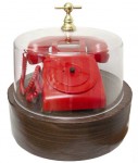 Phone Consultation