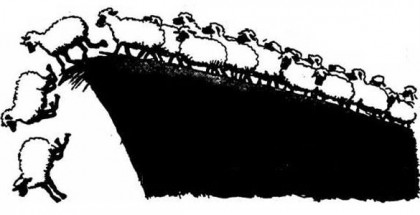 SEO herd mentality