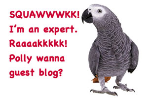 seo expert parrot