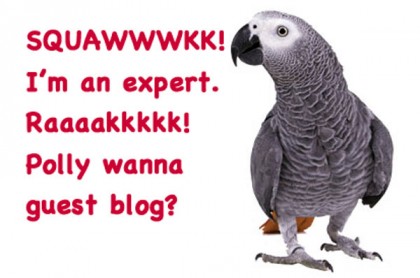seo expert parrot