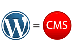 Wordpress CMS
