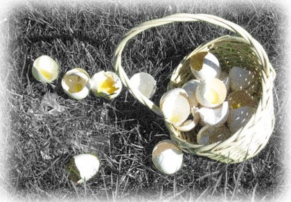 eggs in one basket